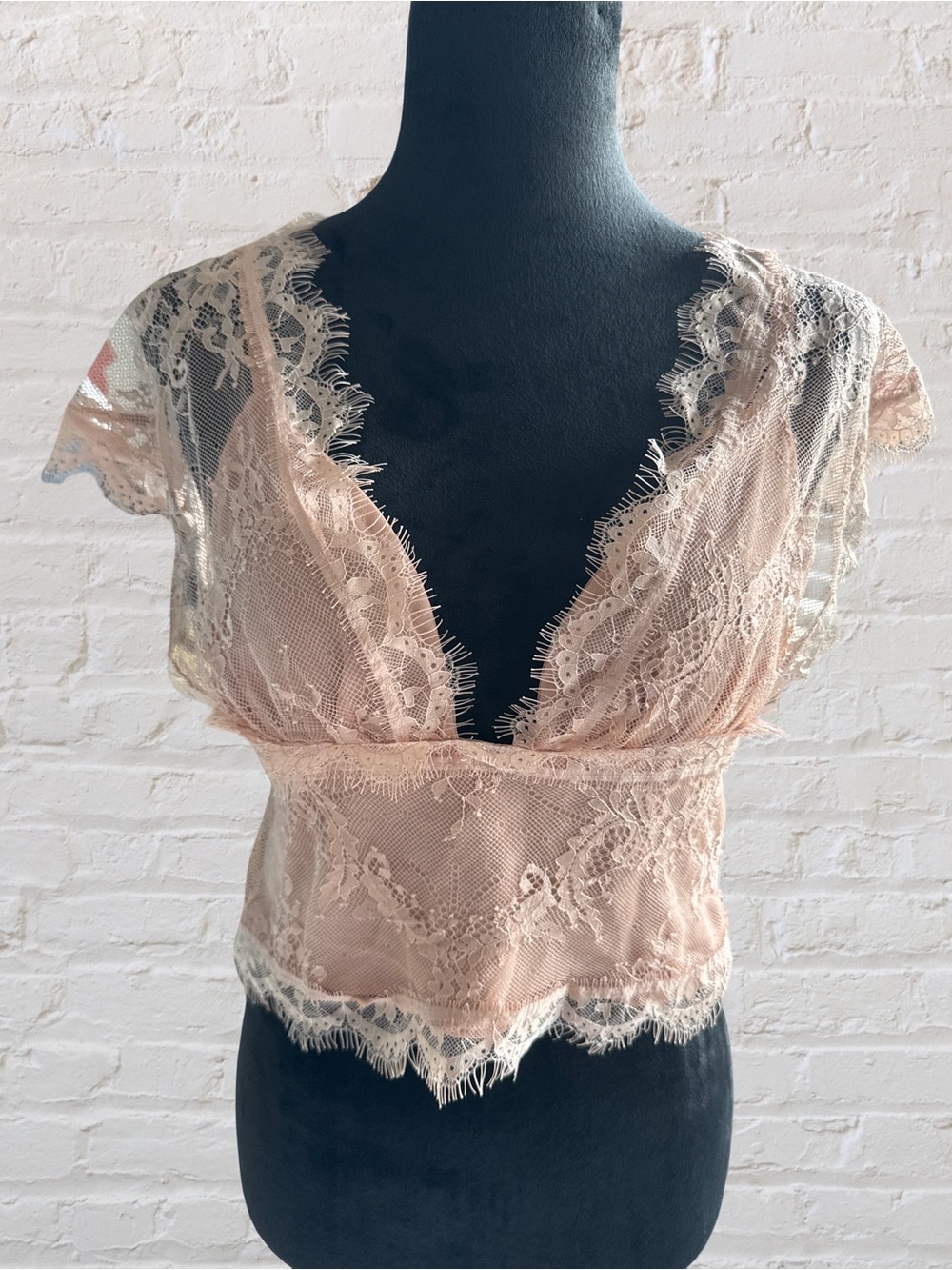 PrettyLittleThing Frayed Edge Lace crop top in Blush